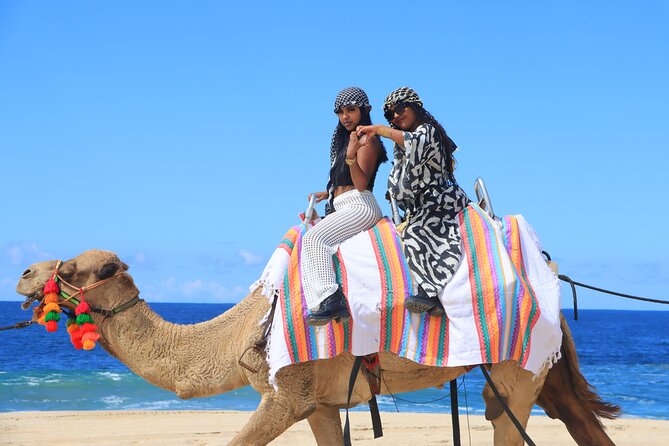 UTV Adventure + Free Camel Ride & Sky Bikes - Authentic Tequila Tasting and Cultural Highlights