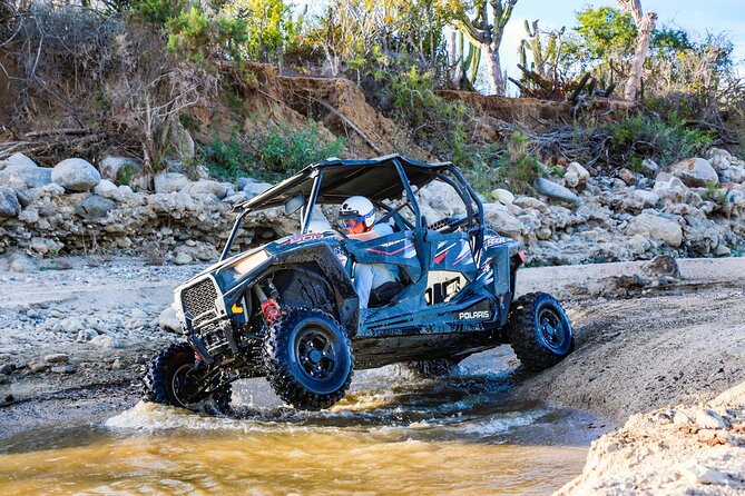 UTV and Camel Ride in the Cabo Desert - Explore the Baja California Sur Desert with UTV and Camel Rides in Cabo