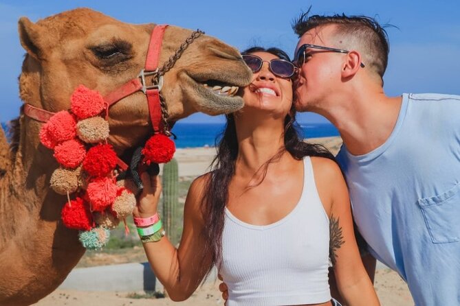 UTV and Camel Ride in the Cabo Desert - Included Snacks and Refreshments