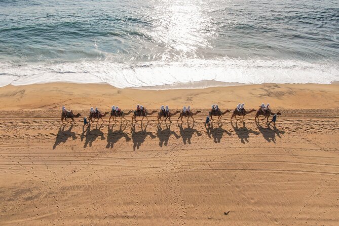 UTV and Camel Ride in the Cabo Desert - Camera Policy and Photo Opportunities