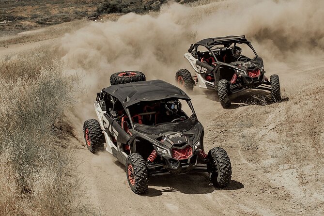 UTV Off-roading + sandboarding Adventure at the Dunes - The Remote Off-Road Routes and Scenic Spots
