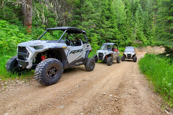 UTV Rental in North Idaho - Who Should Consider This UTV Rental?