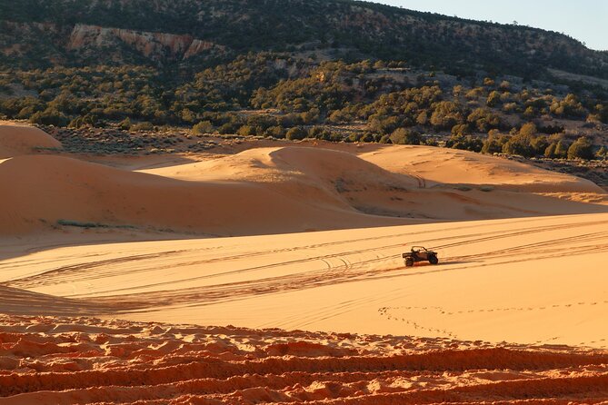UTV Ride Climb and Rappel "Window to the Dunes" Experience - Guides and Their Role in a Safe, Enjoyable Experience