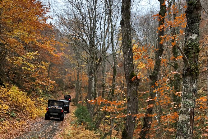 UTV/Side-by-Side Trail Tour to Cape Clear Look-off - Explore Cape Breton’s Rugged Trails with a Private UTV Adventure