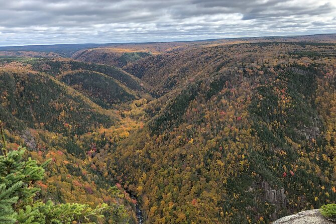 UTV/Side-by-Side Trail Tour to Cape Clear Look-off - Safety and Comfort in the Rugged Terrain