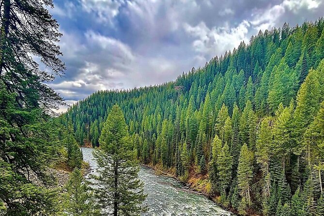UTV Tour of Big Springs, Flats, and Sawtell Peak - Riding Through Forests and Ridges