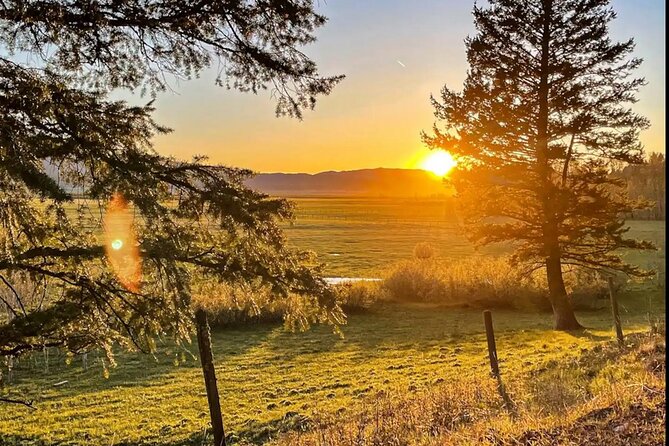 UTV Tour of Big Springs, Flats, and Sawtell Peak - The UTVs: Comfort and Performance