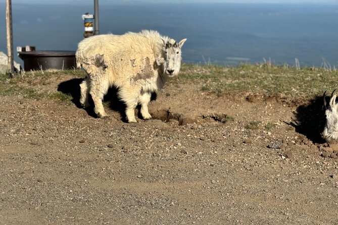 UTV Tour of Big Springs, Flats, and Sawtell Peak - The Route’s Unique Features and Historical Elements