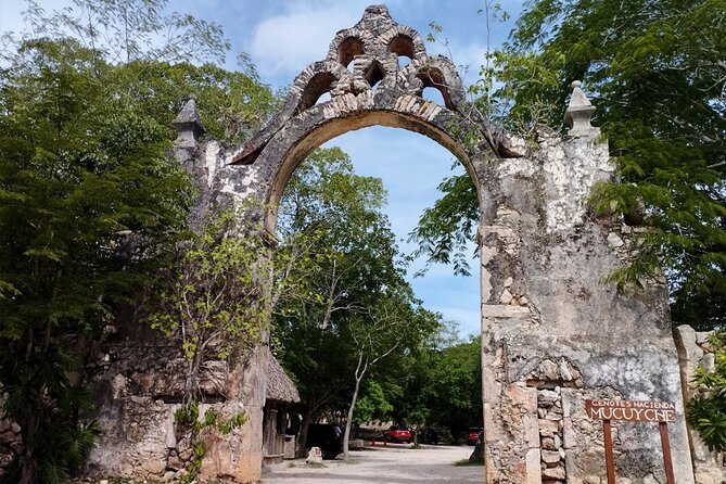 Uxmal and Hacienda Mucuyché: A Journey to the Heart of the Mayan World - Physical Demands and Accessibility