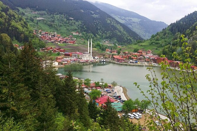 Uzungol Tour: Full-Day Nature Adventure with Tea Factory Visit - The Role of Guides and Customer Service