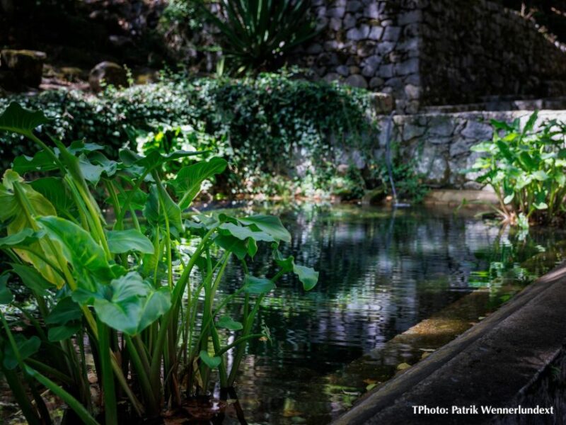 V.I.P private & exclusive road trip. The authentic Algarve. - Frequently Asked Questions