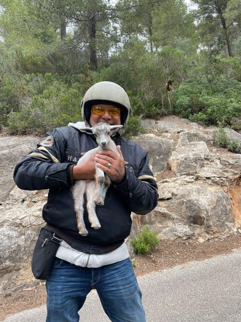 V8 Trike Tour mit Fahrer/Guide für max 4Gäste - Ascending the Tramuntana Mountains for Stunning Views