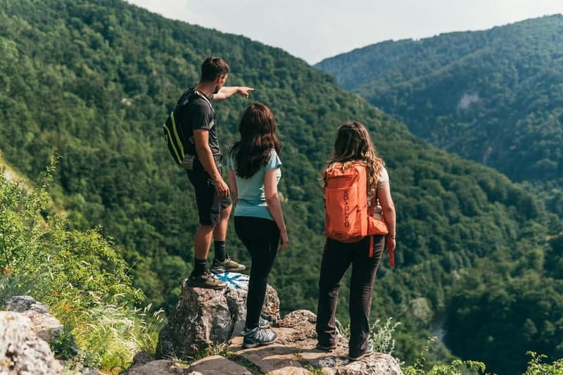 Vadu Crisului: Via Ferrata Guided Experience - Discover the Guided Via Ferrata Adventure in Vadu Crisului Gorge