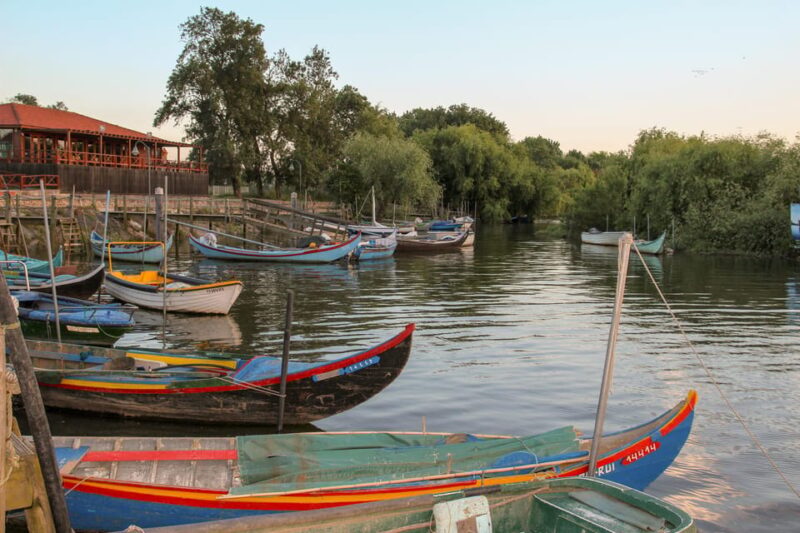 Valada: 1 hour boat trip, guided tour - Exploring the Natural Landscapes of the Tagus River