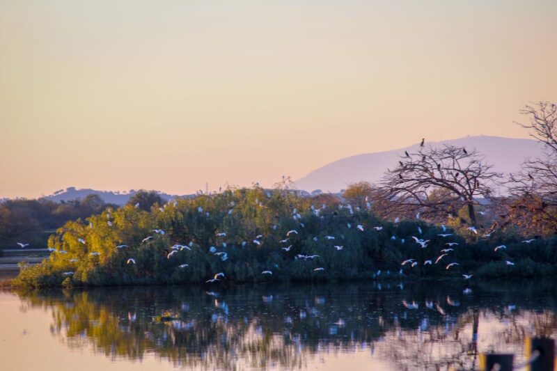 Valada: 1 hour boat trip, guided tour - Cultural Insights: The Escaroupim and Avieira Routes