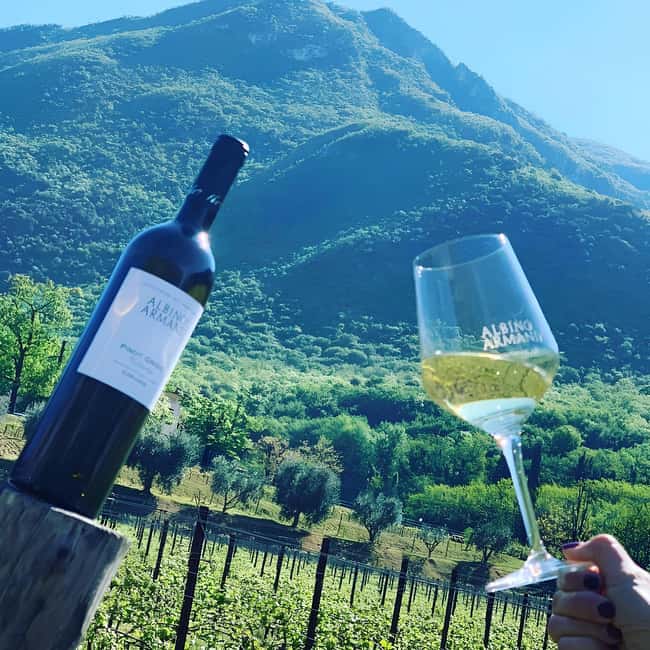 Valdadige: Winery Tour with 4 Wine Tastings - Discover Valdadige’s Hidden Wine Treasures for Just $59