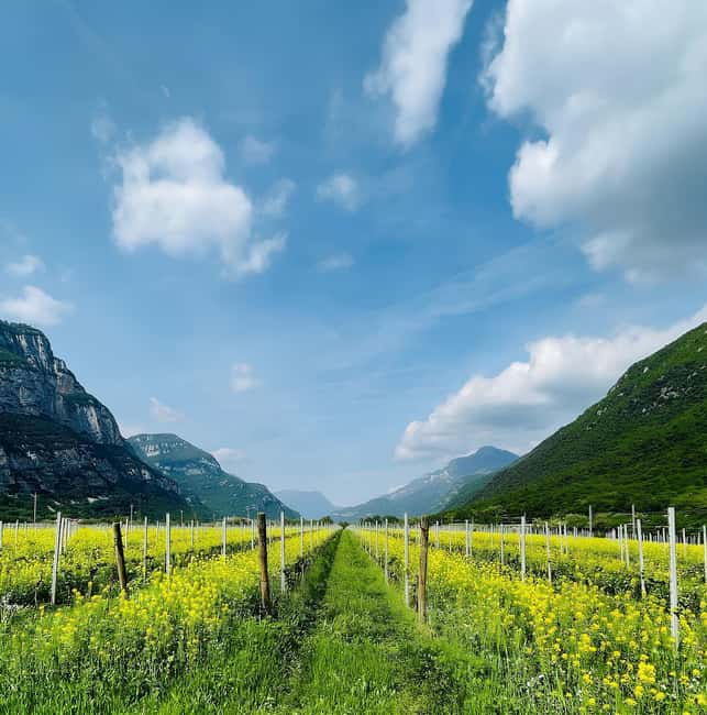 Valdadige: Winery Tour with 4 Wine Tastings - Key Points
