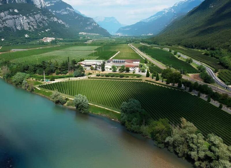 Valdadige: Winery Tour with 4 Wine Tastings - Scenic Views and Natural Beauty of Valdadige