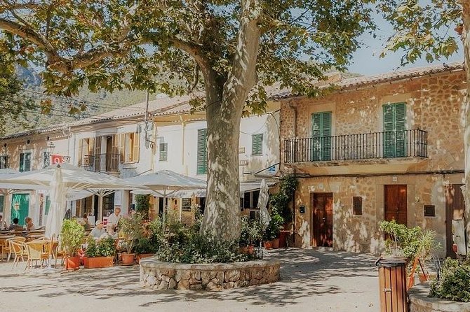 Valdemossa Half Day Tour - Explore Valdemossa on a Convenient Half-Day Tour from Palma