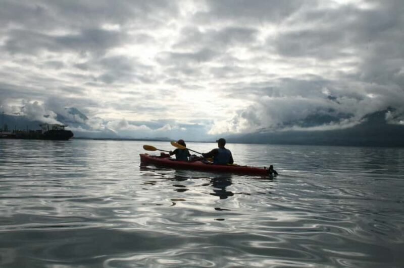 Valdez: Duck Flats Sea Kayak Tour - Pacing and Overall Experience