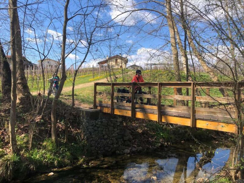 Valdobbiadene: Bike rental and Prosecco tasting - The E-bike Rental: Practical Details