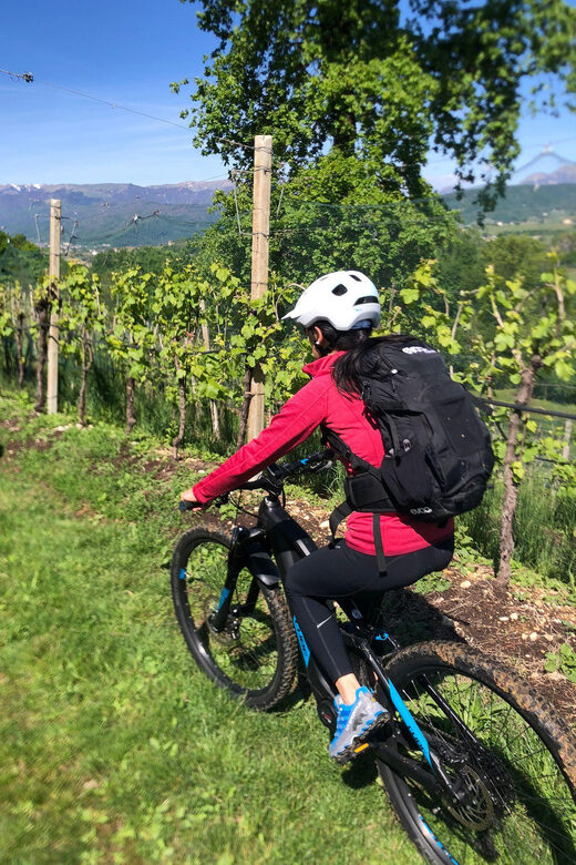 Valdobbiadene: Bike rental and Prosecco tasting - Valdobbiadene: A Perfect Wine and Cycling Combo