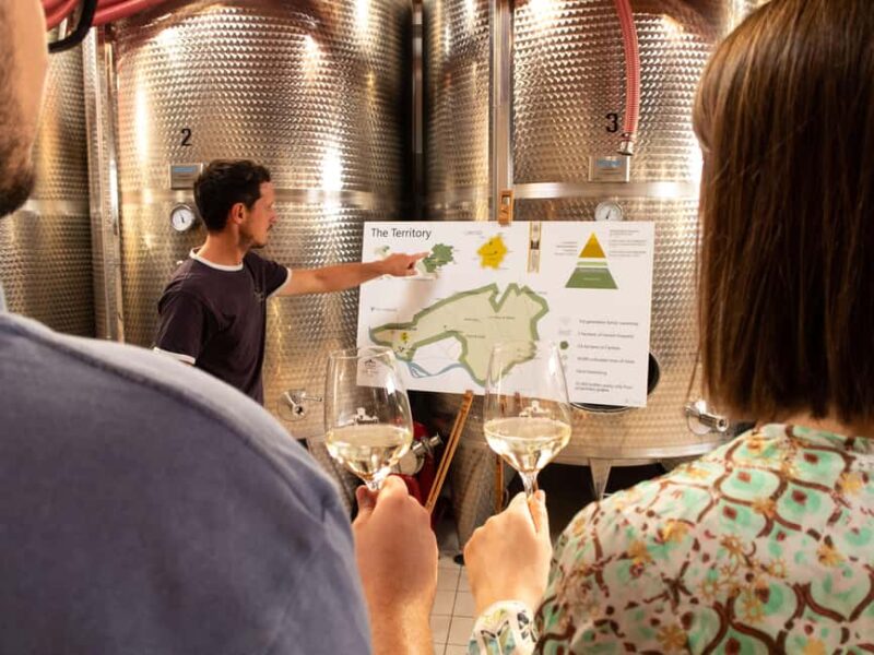 Valdobbiadene - Check out the winery and taste the Superiori DOCG wines - Discover the Charm of Valdobbiadenes Family-Run Winery