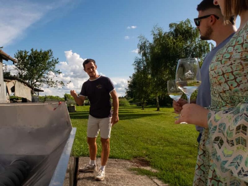 Valdobbiadene - Check out the winery and taste the Superiori DOCG wines - Tasting the Valdobbiadene DOCG Wines in a Cozy Setting