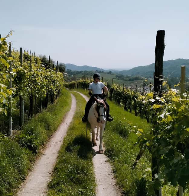 Valdobbiadene: Prosecco Hills Horseback Riding Tour - Explore the Scenic Prosecco Hills on Horseback