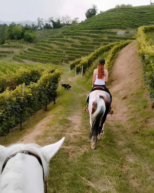 Valdobbiadene: Prosecco Hills Horseback Riding Tour - Key Points