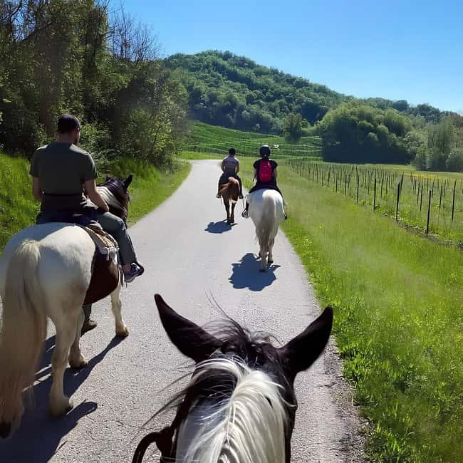 Valdobbiadene: Prosecco Hills Horseback Riding Tour - The 1-Hour Ride: Overlooking Rolle di Cison