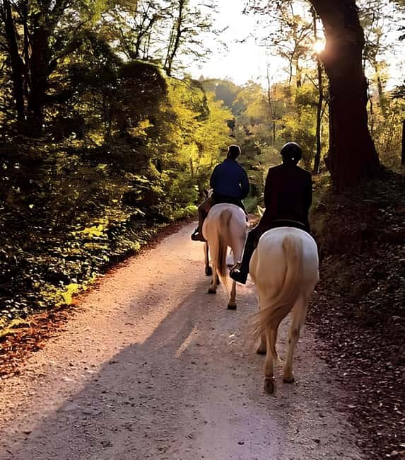 Valdobbiadene: Prosecco Hills Horseback Riding Tour - Meet Your Guide and Small Group Dynamics