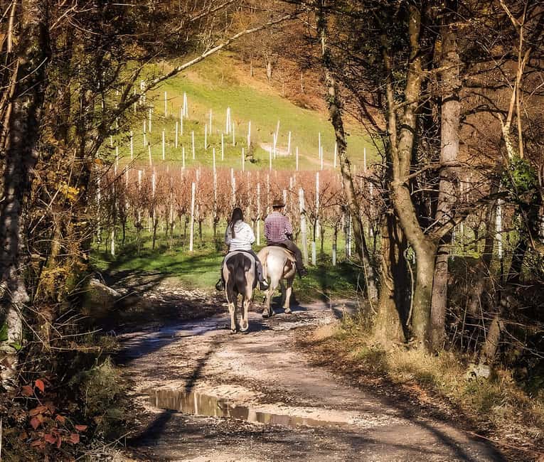 Valdobbiadene: Prosecco Hills Horseback Riding Tour - Comparing with Similar Experiences in the Region