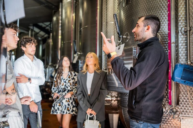 Valdobbiadene: Prosecco Tasting Experience - Inside the Winery: From Grape to Glass