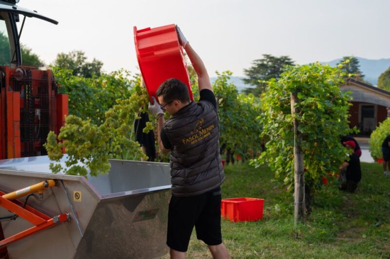 Valdobbiadene: Prosecco Tasting Experience - What Makes This Tour Special: The Expert Guide