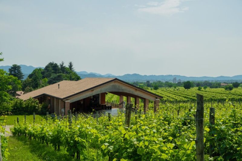 Valdobbiadene: Prosecco Tasting Experience - Reviews Highlight the Experience’s Excellence