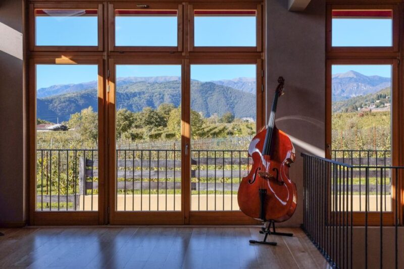 Valdobbiadene: Prosecco tasting where Art meets Wine - Discover Valdobbiadene: Art Meets Wine in a Unique Prosecco Tasting