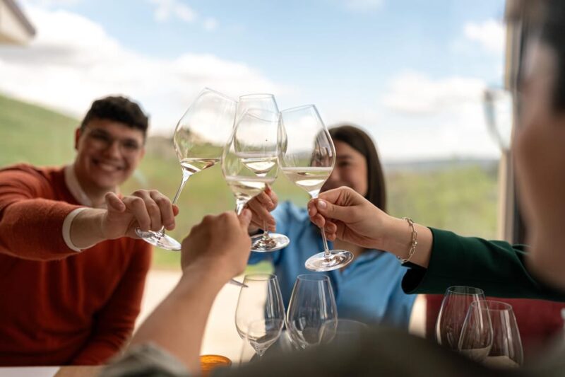 Valdobbiadene: Prosecco tasting with winery & vineyard tour - Introduction to the Valdobbiadene Prosecco Tour