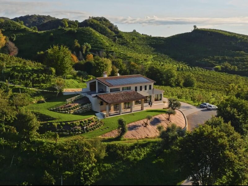 Valdobbiadene: Prosecco tasting with winery & vineyard tour - Walk through the Historic Vigneto Giardino