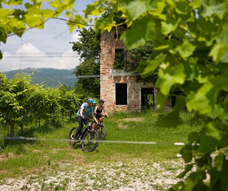 Valdobbiadene: self-guided e-bike tour in the Prosecco Hills - From Vineyard Views to Local Tastings
