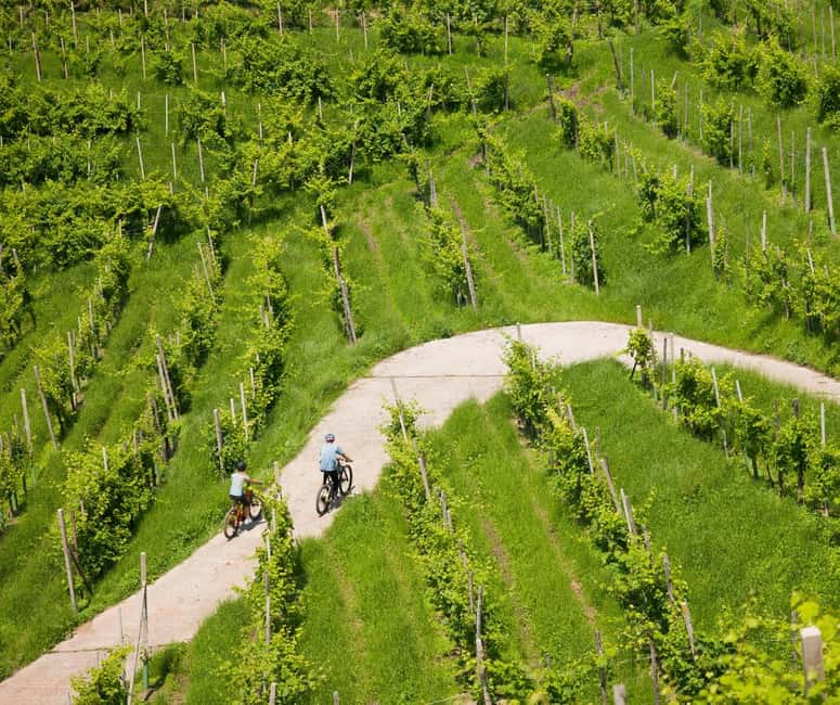 Valdobbiadene: self-guided e-bike tour in the Prosecco Hills - Scenic Cycling through the UNESCO Hills