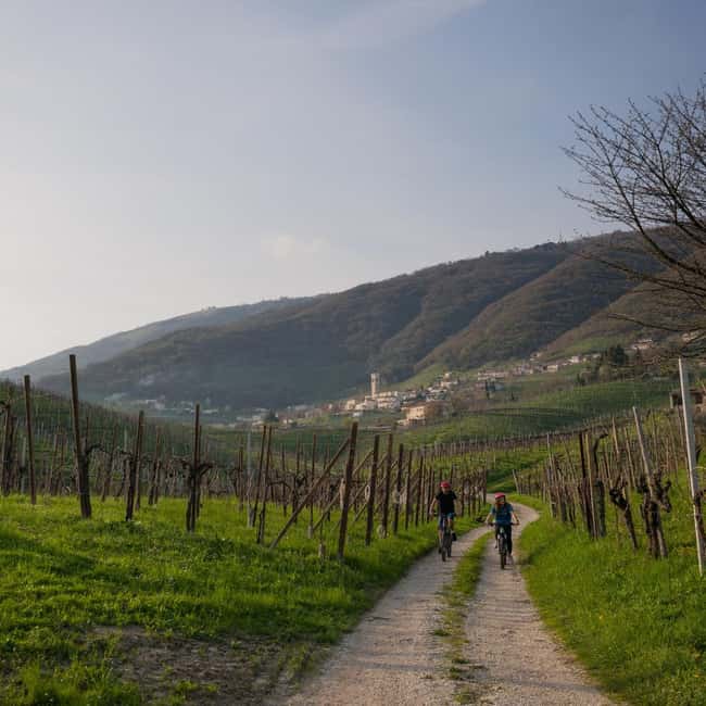 Valdobbiadene: self-guided e-bike tour in the Prosecco Hills - Final Thoughts on the Prosecco Hills Self-Guided Tour