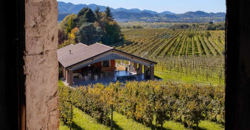 Valdobbiadene: Winery Tour with Wine and Food Tasting - Exploring the Winemaking Process