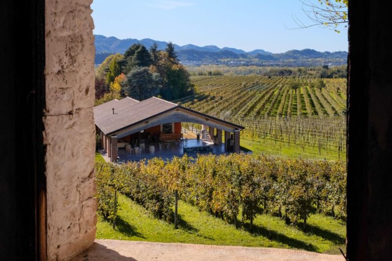 Valdobbiadene: Winery Tour with Wine and Food Tasting - Booking, Cancellation, and Flexibility