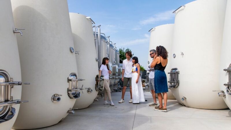 Valdobbiadene:Prosecco tasting,appetizers,winery & vineyard - Valdobbiadene Location and Meeting Details