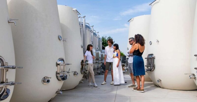 Valdobbiadene:Prosecco tasting,appetizers,winery & vineyard - Inside the Winery and Vinification Insights