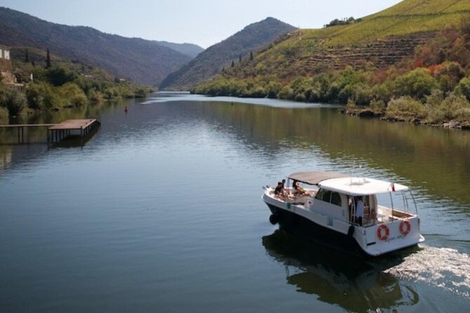 VALE DOURO: Premium Wine, Lunch Wine & Private Boat Tour - Exploring the Douro Valley: Starting from Porto