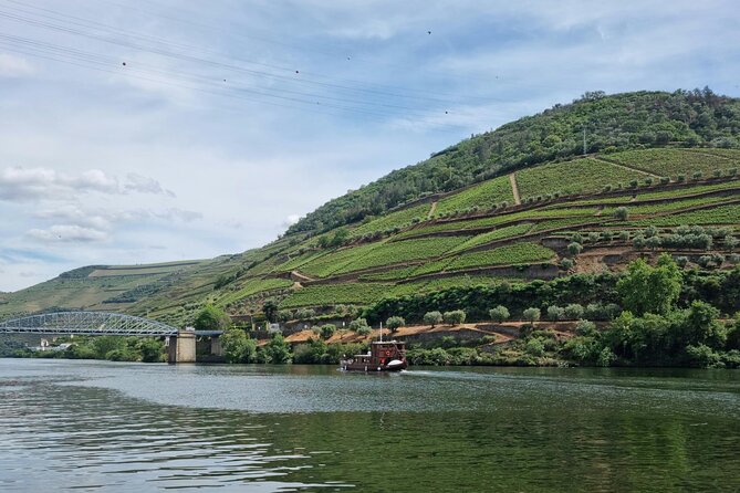 VALE DOURO: Premium Wine, Lunch Wine & Private Boat Tour - Return to Porto and Hotel Drop-Off