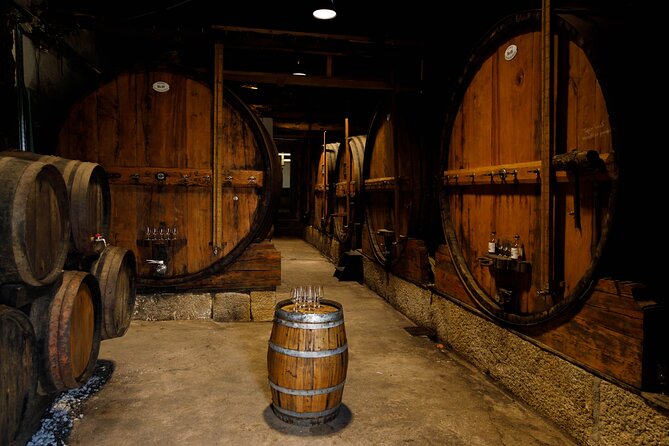 VALE DOURO: Premium Wine, Lunch Wine & Private Boat Tour - Tour Logistics and Included Features