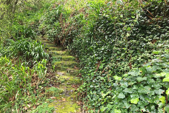 Vale Paraiso - Paradise Valley Walk - The Levada to Paradise Valley: Caminho do Rochão